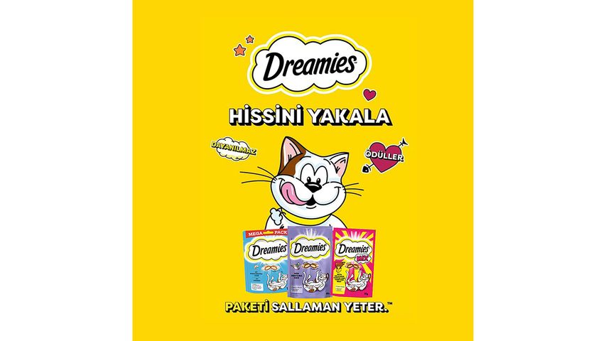 Dreamies Somonlu Mega Kedi Ödül Maması 180 g