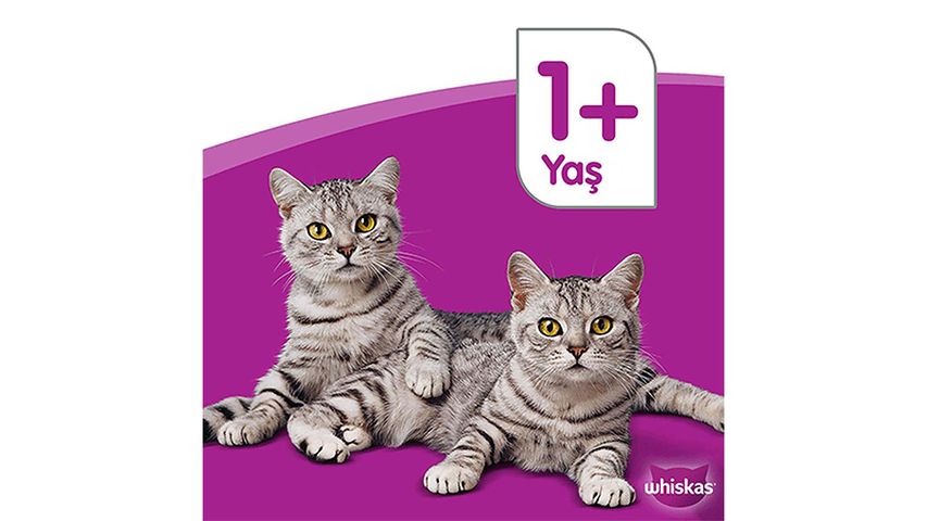Whiskas Salmon Wet Cat Food Pouch 85 g