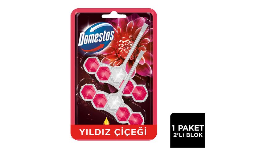 Domestos Tuvalet Bloğu Yıldız Çiçeği & Ejder Meyvesi 100 g