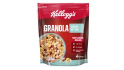 Kellogg's Granola Karışık Meyveli 250 g
