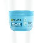 Garnier Hyaluron Sorbet Moisturizing Face Cream