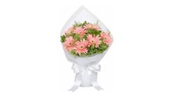Pembe Gerberalar Buketi 40 cm