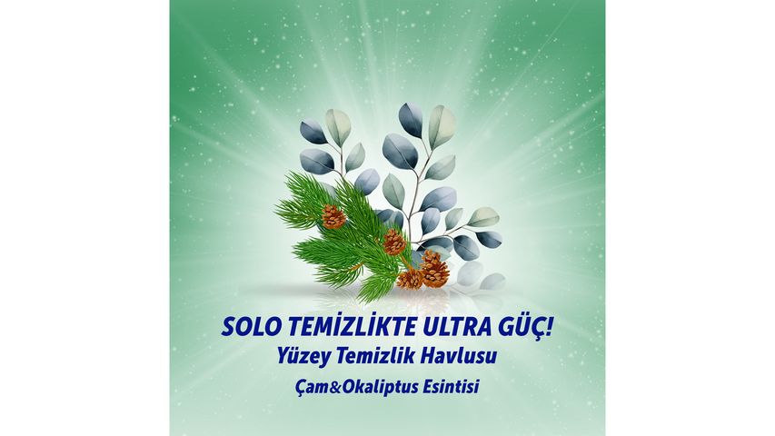 Solo Okaliptus & Çam Kokulu Travel Yüzey Temizlik Havlusu 15’li