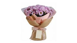 Pembe Papatyalar Buketi 40 cm
