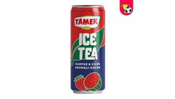 Tamek Ice Tea Karpuz & Çilek 330 ml