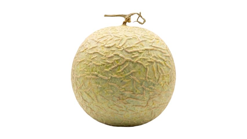 Milagro Mini Melon (1 Piece)