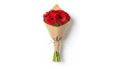 Kırmızı Gerbera Buketi 5'li 40 cm