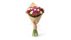 Ambalajda Renkli Hüsnüyusuflar 52 cm