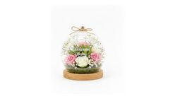Hoşgeldin Kız Bebek Teraryum 30 cm