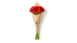 Kırmızı Gerbera Buketi 40 cm