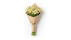 Kraft Ambalajda Papatya Buketi 30 cm 50'li