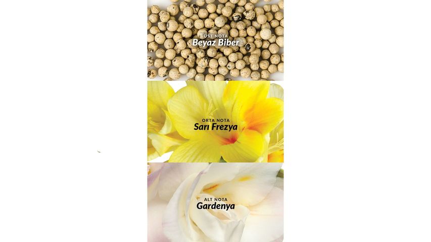 Avon Perceive Body Spray for Women 100 ml