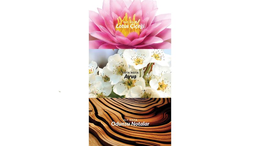 Avon Incandessence Lotus Eau de Toilette for Women 50 ml