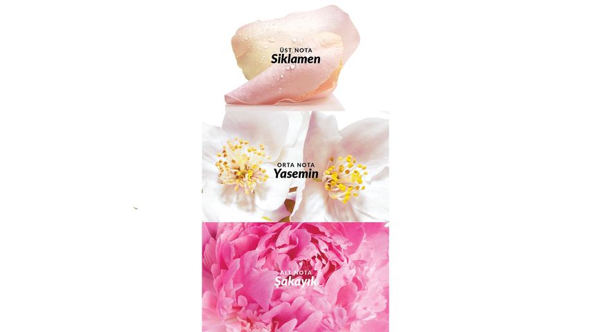 Avon Celebre EDT Kadın Parfümü 50 ml