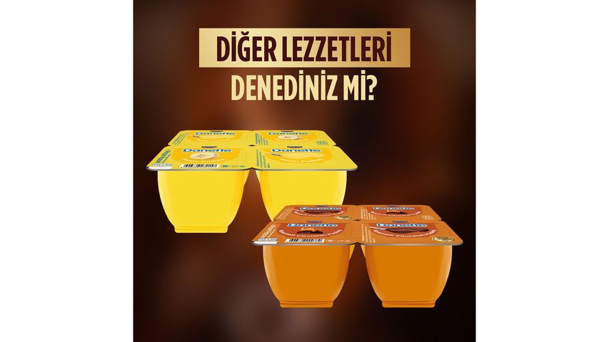 Danone Danette Chocolate Pudding 4 x 100 g