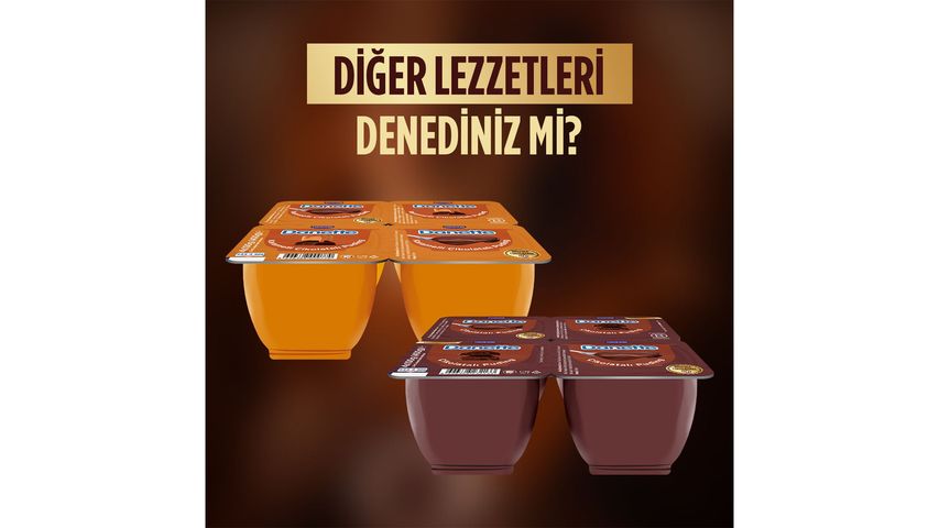 Danette Muzlu Puding 4 x 100 g