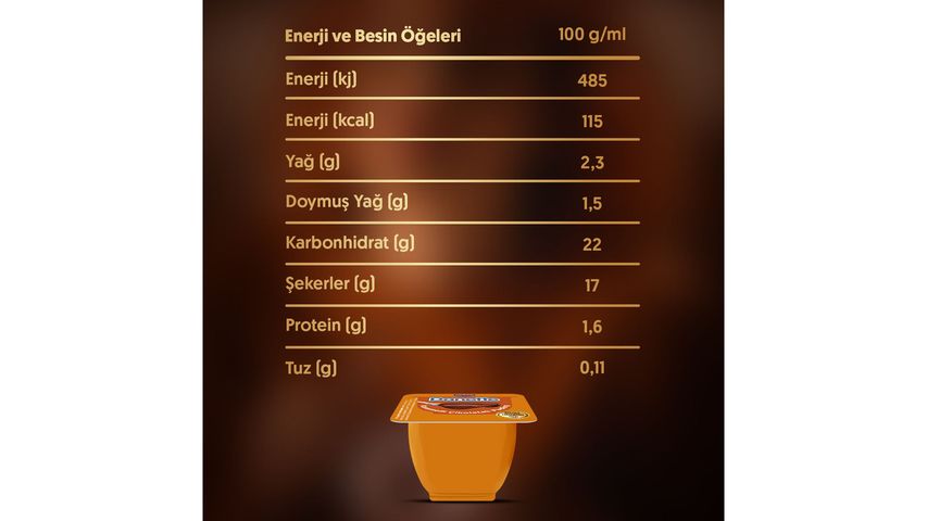 Danette Caramel Chocolate Pudding 4 × 100 g