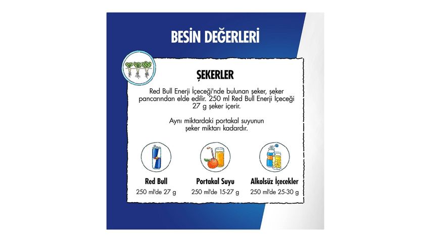 Red Bull Enerji İçeceği Karpuz 250 ml