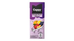 Cappy Mixed Fruit Juice 200 ml