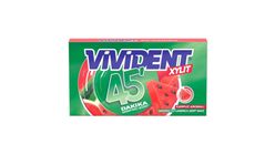 Vivident 45 Minutes Non-Stop Flavor Watermelon Flavored Gum 26 g