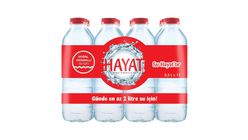 Hayat Natural Mineral Water 12 x 500 ml