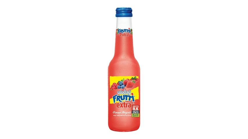 Uludağ Frutti Extra Orman Meyveli 250 ml