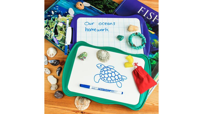 BIC Mini Beyaz Tahta + 1 Adet 1712 Beyaz Tahta Kalemi + Silgi