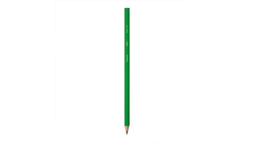 BIC Metal Tüp Kuru Boya Kalemi 24+1 Renk
