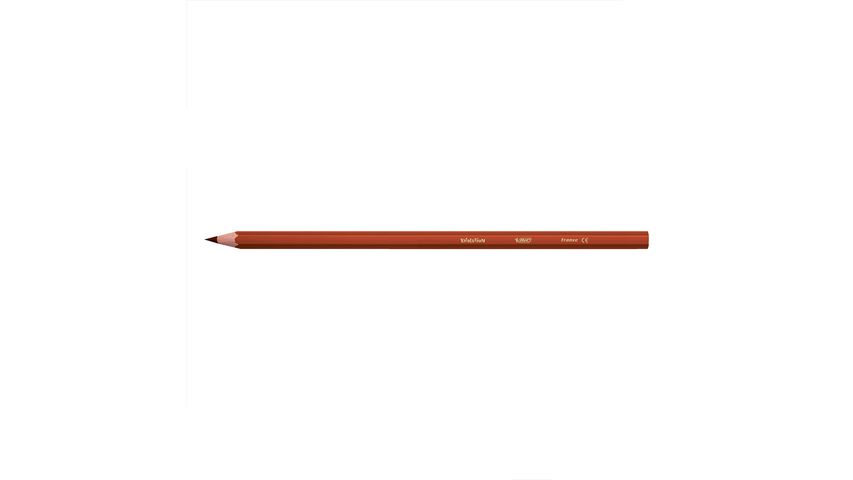 BIC Metal Tüp Kuru Boya Kalemi 24+1 Renk