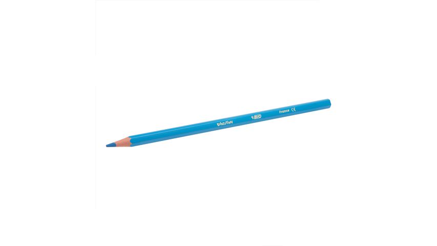 BIC Metal Tüp Kuru Boya Kalemi 24+1 Renk