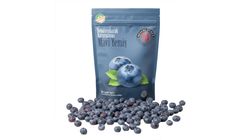 Madame Lyras Freeze-Dried Blueberry 16 g