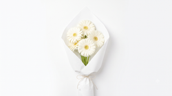 Beyaz Ambalajda Gerbera Buketi 5'li 40 cm