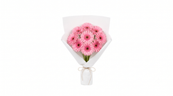 Beyaz Ambalajda Gerbera Buketi 5'li 45 cm