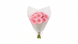 Pembe Gerbera Buketi 40 cm