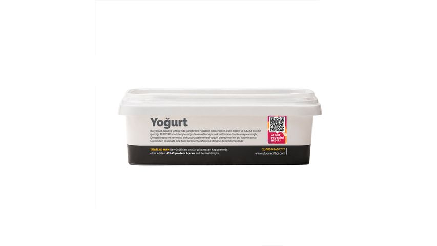 Uluova Holstein Kaymaklı Tava Yoğurt 900 g