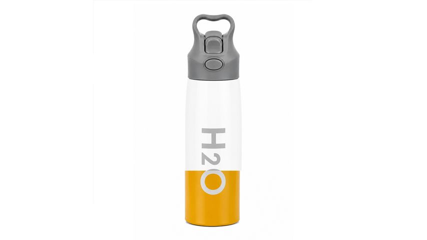 700 ml Stainless Steel Water Bottle
