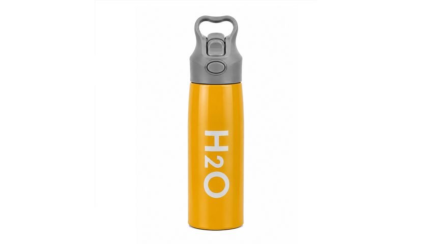 700 ml Stainless Steel Water Bottle