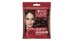 Garnier Color Shampoo Retouch Root Dye with Shampoo Ease, Brown 4.0