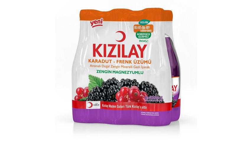 Kızılay Black Mulberry & Blackcurrant Flavored 6 x 200 ml