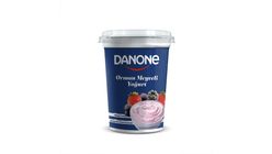 Danone Forest Fruit Yogurt 400 g