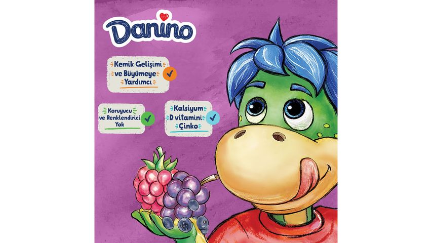 Danino Forest Fruit Yogurt 6 x 40 g