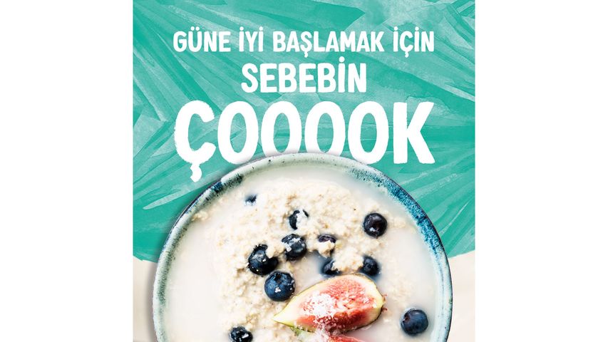 Alpro Coconut Plant-Based Vegan Lactose-Free Milk 1 L