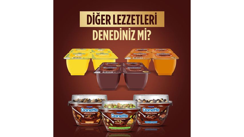 Danette Duo Chocolate & Vanilla Flavored Pudding 4 x 70 g