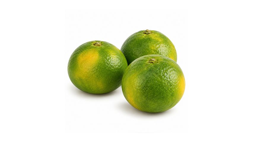 Milagro Tangerine 1 kg