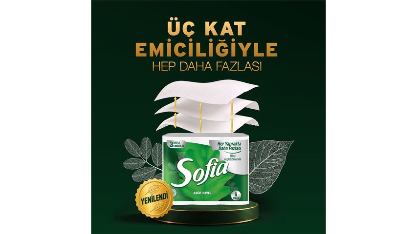 Sofia 6-Roll Paper Towels