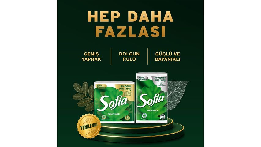 Sofia 6-Roll Paper Towels