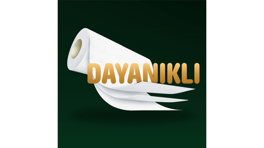 Sofia 12-Roll Paper Towels
