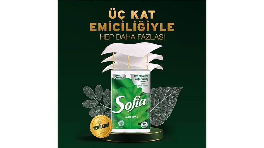 Sofia 12-Roll Paper Towels