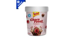 Feast Frozen Chocofeast Raspberry 150 g