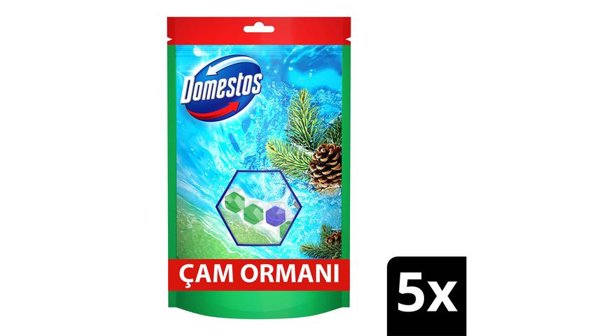 Domestos Toilet Block Pine 5x Power 250 g